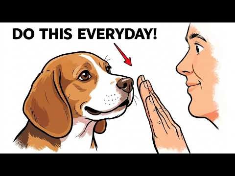 Do These 7 Things Daily And Your Dog'll Know You LOVE Them