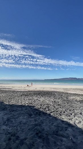 Our bus converted tiny home, now our temporary beach house! 🏝️ #beachhouse #busconversion #tinyhomeonwheels #buslife #buslifeliving