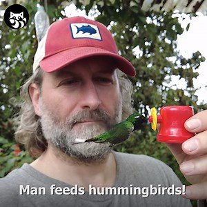 Man Holds Birdfeeder As Hummingbird Eats From It Credit: Jukin Media | Lyzabeth Lopez