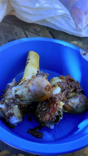 Experience Traditional Herero Cuisine with Bone Marrow