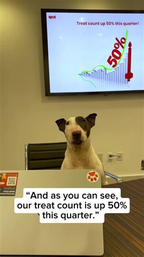 Attention AAA Members 🚨 Your membership just got a furry upgrade 🐾 We are excited to announce the official partnership between AAA and Spot Pet Insurance to offer AAA members unparalleled access to affordable pet insurance coverage for their 4-legged friends! To learn more about this partnership we can’t get enough of and see the full release, visit https://bit.ly/3NqEdAd | AAA