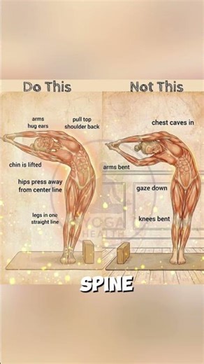 Standing Side Bend Yoga for Better Health & Flexibility