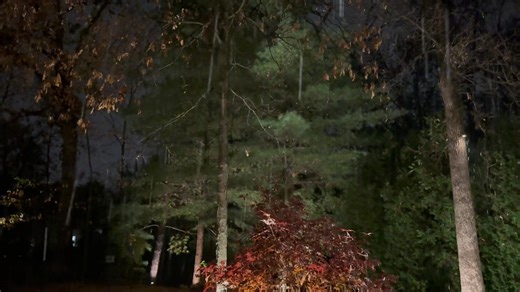 41K views · 538 reactions | And here’s the snow outside Studio C! Just started. | Mike Caplan, Meteorologist at Fox 32 | Facebook