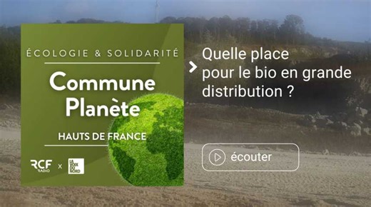 Podcast. Quelle place pour le bio en grande distribution ?