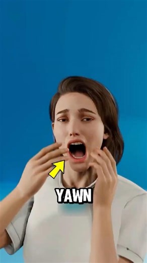 Why Do We Yawn? Scientists Still Don’t Know 😳