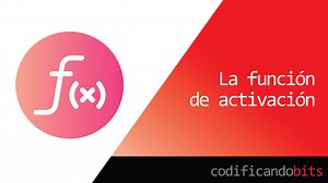 La Función de Activación
