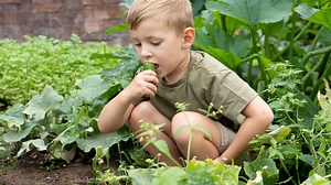 Science Explains Why Dirt Should Be Part of Your Diet