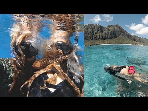 Brittany surprised me with her own octopus! (shangerdanger shorts compilation)