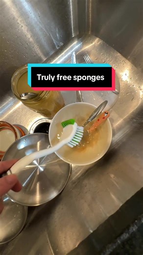 Natural Sponges for a Cleaner Home