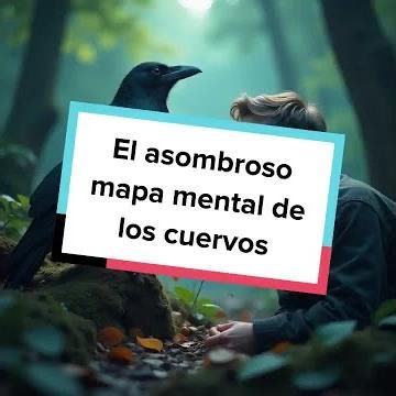 El asombroso mapa mental de los cuervos