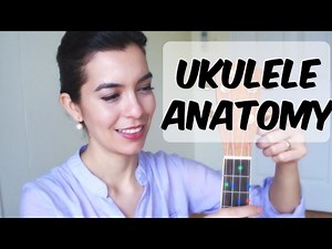 Ukulele School - Parts of the Ukulele!