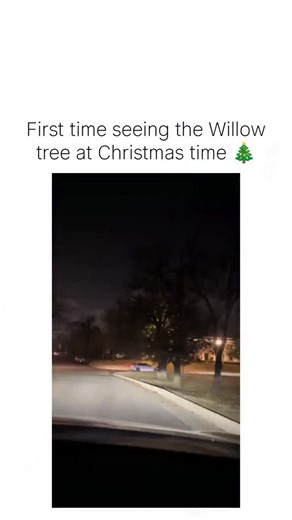 Stonky funny on Instagram: "The post showcases a 23-second nighttime video of a weeping willow tree in Nichols Hills, Oklahoma City, wrapped in golden LED lights that create an ethereal, cascading glow resembling a holiday fairy tale. This annual display, a local tradition since at least 2024, exploded in popularity this December, garnering 81,000 likes and 847,000 views while inspiring replies likening it to the bioluminescent Tree of Souls in Avatar. Weeping willows lose their leaves in winter
