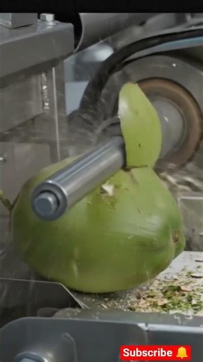 New Coconut Processing Machine 🥥