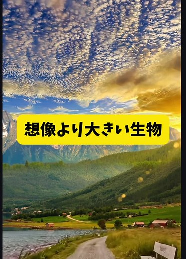 想像より大きい生物の驚き