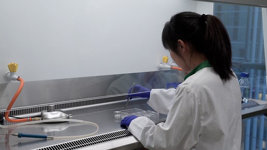 Studying TGF-β Signaling and TGF-β-induced Epithelial-to-mesenchymal Transition in Breast Cancer and Normal Cells