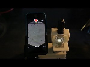 First rolling DNA motor speeds up 'nano-walkers’