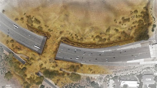 The World’s Largest Wildlife Crossing Spans Over 60 Meters Across A Californian Freeway