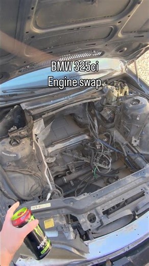 IT BEGINS!! BMW engine swap series!! #bmw #engineswap #projectcar #howto #autorepair #mechanic #car
