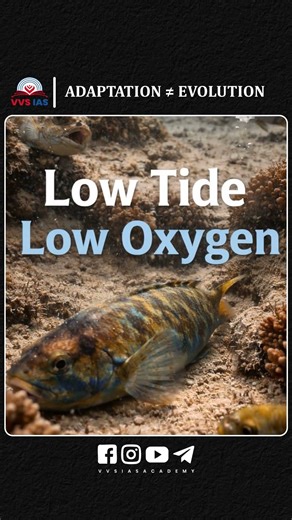 WALKING SHARKS ARE A UPSC TRAP‪@vvsias‬ #upsc