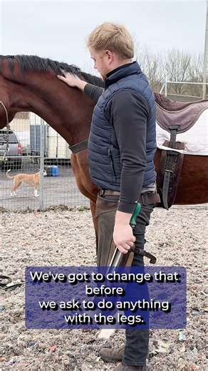 This session is about setting a young colt up for farrier work using positive reinforcement, while being realistic about the environment he’s learning in. We’re not training in a bubble. The farrier’s presence, the movement around him, and the general barn activity are all part of the picture. He’s unsure at times, and instead of rushing past that, he’s given space to notice, process, and then re-engage when he’s ready. The focus is on keeping the criteria low and the information clear. I’m watc