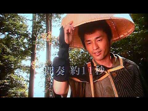 花の三度笠 小畑実 カラオケ