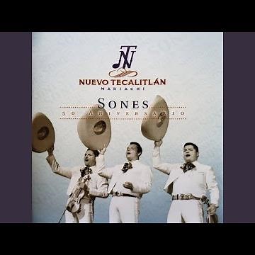 El Son de la Negra