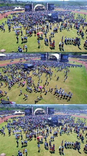 IFP's 50 Years of Resilience and Service