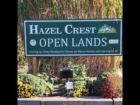 Open Lands, Hazel Crest, Aug 19 2025