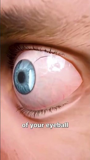 What happens if an eyelash goes into your eye? 👁️😖