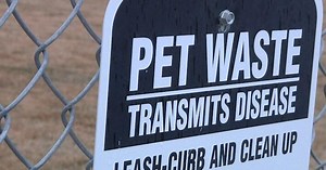 The scoop on picking up dog poop