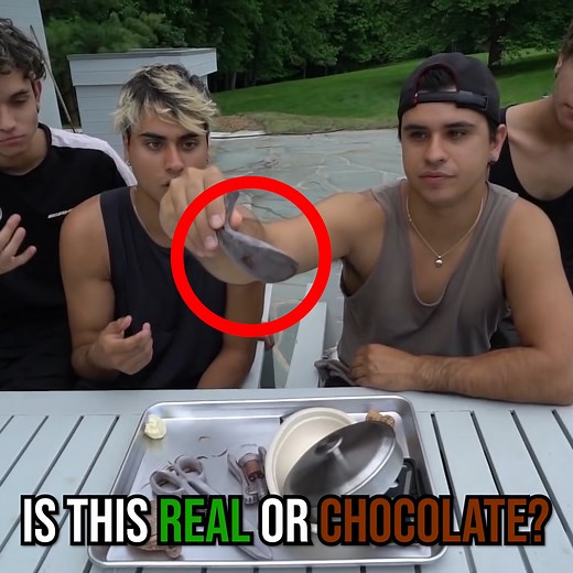 544K views · 2K reactions | Chocolate Or Real?  | Dobre Brothers | Facebook