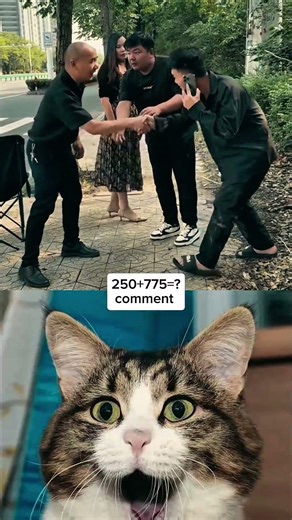 unaccepted #shortvideos #viral #cat #viralvideos