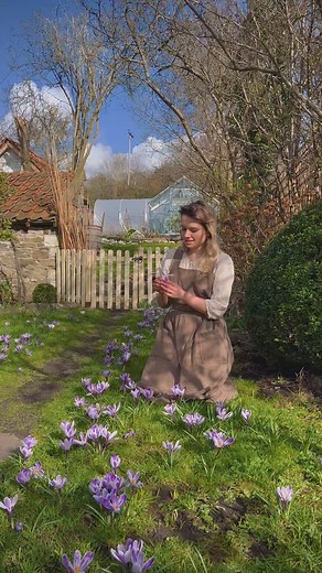 The crocuses have finished flowering in the garden now, though the rabbit is still there making sure he eats every last leaf 😂 we already have a few tulips flowering and plenty of daffodils so I am hoping to share those with you very soon. It is currently pouring with rain for the foreseeable future, please send sunshine so we can get out there and enjoy the spring flowers🤞🏻☀️ hope you have had a good week so far. #cottagecore #garden #crocus #cozyhome #gardeninspiration #gardenideas #springf