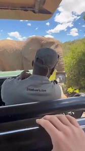 🇧🇼 10 DAYS OF PURE WILDERNESS IN BOTSWANA Exclusive. Untamed. Iconic Safari. 🐘🔥 Day 1 – Arrival in Maun Meet & greet, safari briefing & sunset by the Thamalakane River. Day 2 – Okavango Delta (Mokoro Safari) Fly or transfer into the Delta. Traditional mokoro canoe safari through crystal-clear channels 🛶🌿 Day 3 – Okavango Delta (Game Drives) Big cats, elephants, wild dogs & birds in pristine wilderness. Day 4 – Okavango Delta (Walking Safari) Guided walking safari—raw, close-to-nature & thr