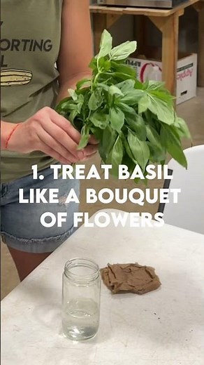 Basil Storage Do's & Don'ts!