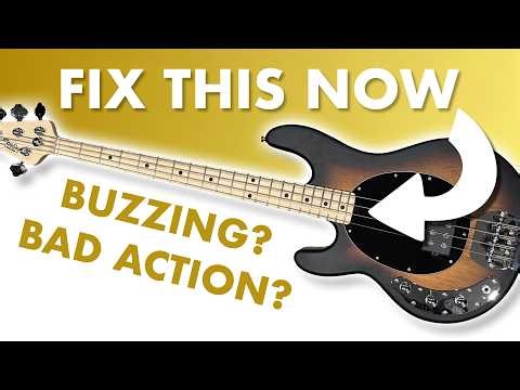 My NEW Bass Guitar...Sounds BAD? Fix it with THIS Setup!