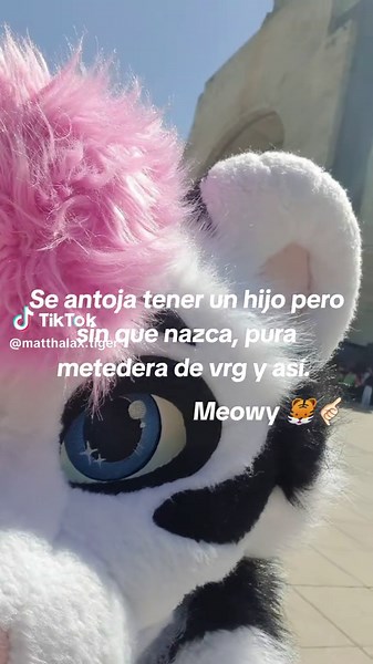 #tiger #fursuit #furryfandom #furry #cat