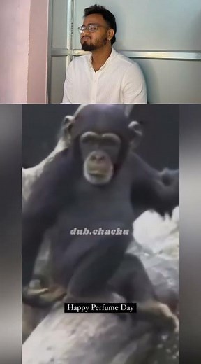 Happy perfume day🤣#funnyvideos #memes #funnymemes #meme #comedy #funnymeme #viral #memesdaily