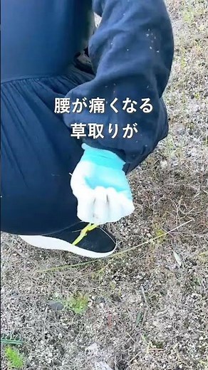 [カインズ公式]涼しくなった今がベストタイミング👍 #shorts #カインズ #カインズ購入品 #便利アイテム #便利グッズ #草取り #除草 #お庭のお手入れ