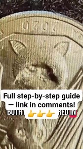 驪 You might be holding a $395 Bat Quarter and not even know it! Most 2020 Bat Quarters are worth just 25 cents…  But a few rare errors can bring $65, $150, even $395+! Check your change — the valuable ones are easy to miss!  Full guide here (link in comments) | R.Dvid | Facebook