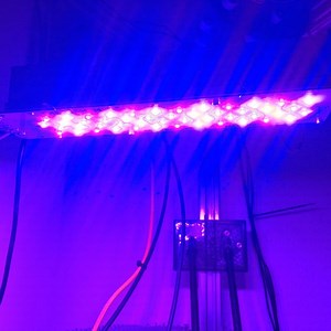 THE GEM - Smart LED Grow Lamp[Light&heatsource]