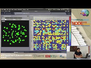 TVB Node 10: Import Virtual-Brain ready data into TVB and create a brain model by Patrik Bey