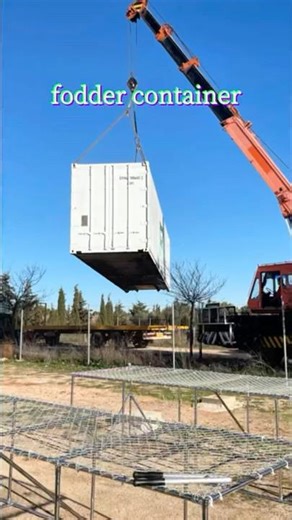 Hydroponic Fodder Container: A Game Changer for Livestock Farms | Turnkey Feed Solution #agritech