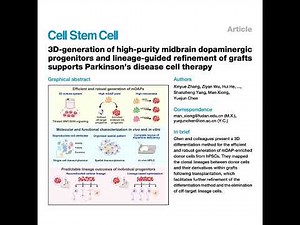 236-SphereDiff for Parkinson's Cell Therapy