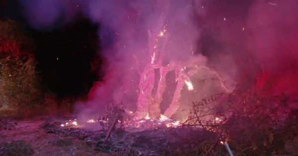 Runyon Canyon sees 2 fires in one week, residents concerned