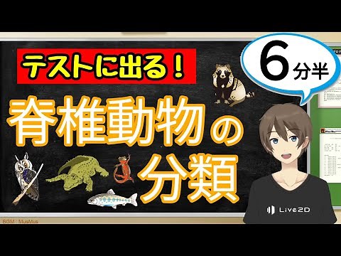 脊椎動物の分類（植物と動物の分類）【中1理科わかりやすい授業動画】