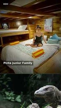 Pinta Liveaboard Cabin — Komodo Phinisi #Shorts