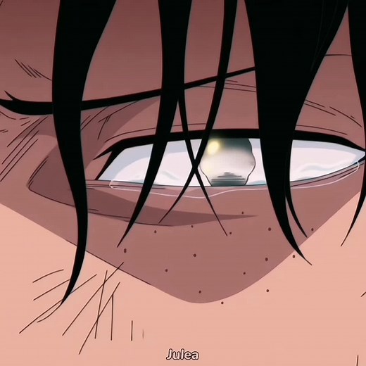 Reuniting with ASL Brothers: Luffy, Sabo, and Ace | One Piece