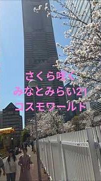 よこはまコスモワールド、ランドマークタワー桜🌸咲くみなとみらい #遊園地 #テーマパーク #横浜 #横浜観光 #みなとみらい#花見 #ジェットコースター #shorts #旅行vlog #旅行#公園