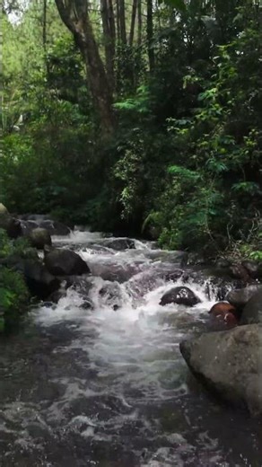 DJI Osmo Pocket 3 Cinematic Video at Bedengan, Malang, East Java #shorts